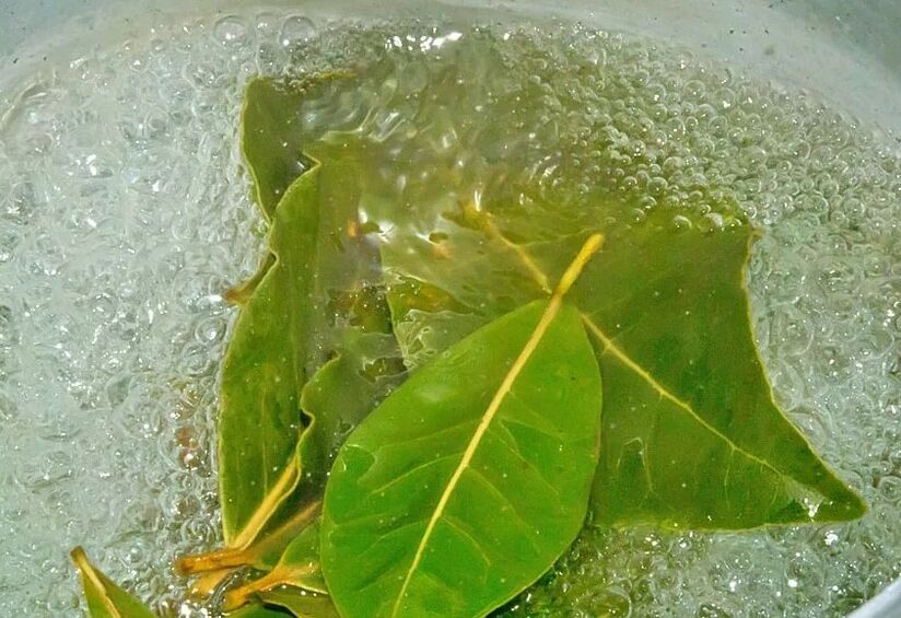 The brew of the bay leaf